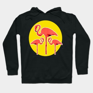 Long-legged pink flamingos Hoodie